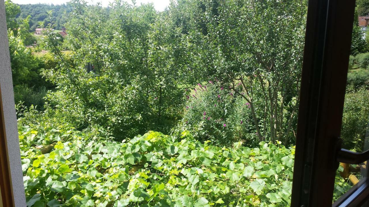 Gastezimmer Nahe Wesslinger See Exteriör bild
